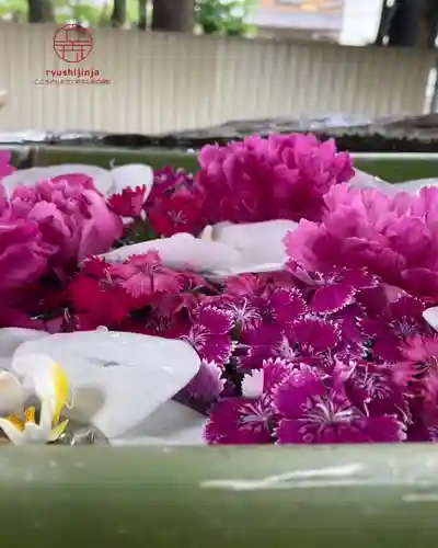 立志神社(滋賀県)