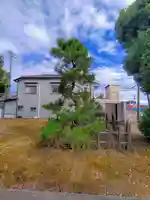 熱田社(大和)の自然