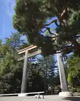 長野縣護國神社(長野県)