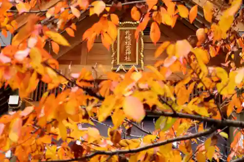 札幌祖霊神社の自然