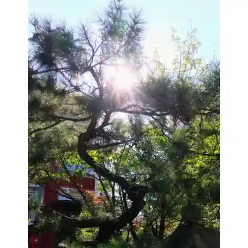 彌彦神社　(伊夜日子神社)の自然