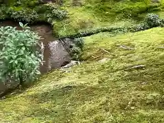 西芳寺(京都府)