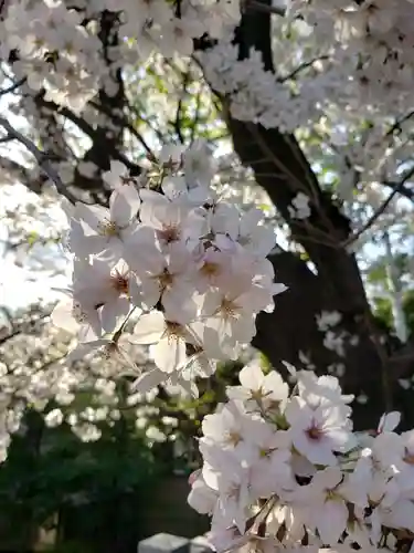 多田神社の自然