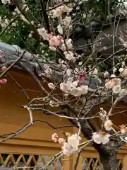 菅原院天満宮神社(京都府)