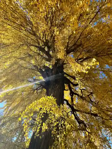 丹生酒殿神社(和歌山県)