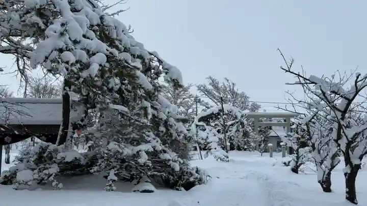 秋葉神社の{uncategorized: "未分類", other: "その他", undefined: "問題あり", building: "その他建物", grave: "お墓", sacred_gate: "鳥居", guardian: "狛犬", statue: "像", buddha: "仏像", history: "歴史", nature: "自然", garden: "庭園", animal: "動物", pagoda: "塔", temizu: "手水舎", mountain_gate: "山門・神門", sanctuary: "本殿・本堂", subordinate: "末社・摂社", art: "芸術", scenery: "景色", jizo: "地蔵", ema: "絵馬", goshuin: "御朱印", omikuji: "おみくじ", items: "授与品その他", amulet: "お守り", goshuincho: "御朱印帳", eats: "食事", festival: "お祭り", votive_dance: "神楽", shichigosan: "七五三参", wedding: "結婚式", experience: "体験その他", initially: "初詣", around: "周辺", anti_infection: "感染症対策"}