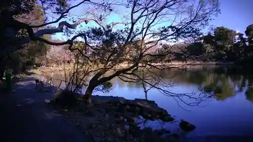 大瀬神社の自然