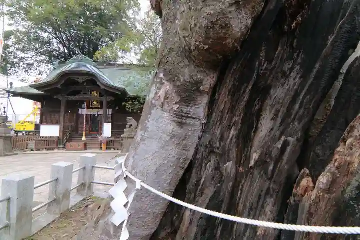 阿邪訶根神社の本殿・本堂