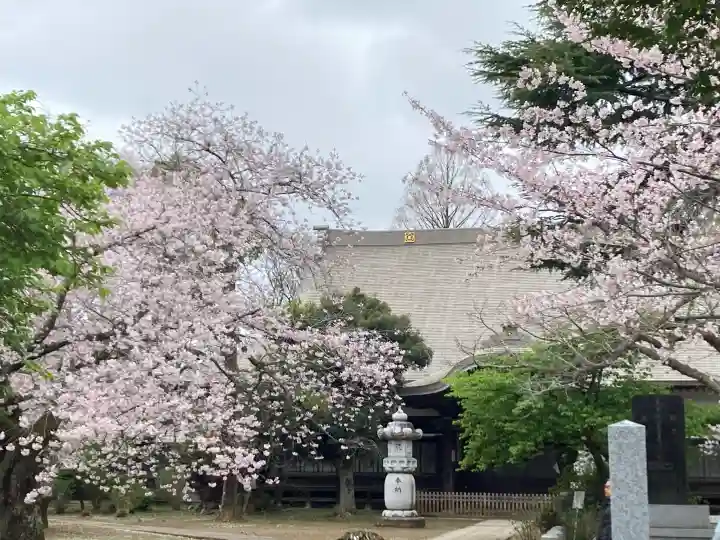 東勝寺宗吾霊堂の{uncategorized: "未分類", other: "その他", undefined: "問題あり", building: "その他建物", grave: "お墓", sacred_gate: "鳥居", guardian: "狛犬", statue: "像", buddha: "仏像", history: "歴史", nature: "自然", garden: "庭園", animal: "動物", pagoda: "塔", temizu: "手水舎", mountain_gate: "山門・神門", sanctuary: "本殿・本堂", subordinate: "末社・摂社", art: "芸術", scenery: "景色", jizo: "地蔵", ema: "絵馬", goshuin: "御朱印", omikuji: "おみくじ", items: "授与品その他", amulet: "お守り", goshuincho: "御朱印帳", eats: "食事", festival: "お祭り", votive_dance: "神楽", shichigosan: "七五三参", wedding: "結婚式", experience: "体験その他", initially: "初詣", around: "周辺", anti_infection: "感染症対策"}