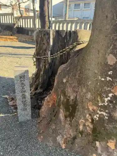 森野住吉神社の{uncategorized: "未分類", other: "その他", undefined: "問題あり", building: "その他建物", grave: "お墓", sacred_gate: "鳥居", guardian: "狛犬", statue: "像", buddha: "仏像", history: "歴史", nature: "自然", garden: "庭園", animal: "動物", pagoda: "塔", temizu: "手水舎", mountain_gate: "山門・神門", sanctuary: "本殿・本堂", subordinate: "末社・摂社", art: "芸術", scenery: "景色", jizo: "地蔵", ema: "絵馬", goshuin: "御朱印", omikuji: "おみくじ", items: "授与品その他", amulet: "お守り", goshuincho: "御朱印帳", eats: "食事", festival: "お祭り", votive_dance: "神楽", shichigosan: "七五三参", wedding: "結婚式", experience: "体験その他", initially: "初詣", around: "周辺", anti_infection: "感染症対策"}