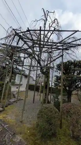 徳乗坊(滋賀県)