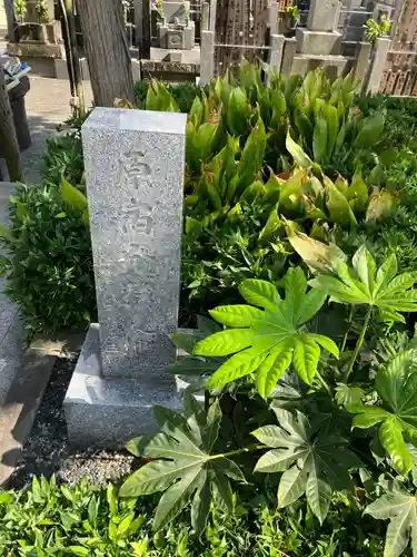 妙円寺のその他建物