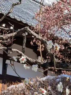 高円寺(東京都)