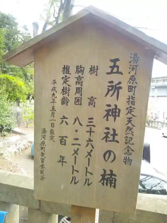 五所神社(神奈川県)