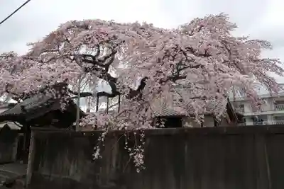 心念寺(三重県)