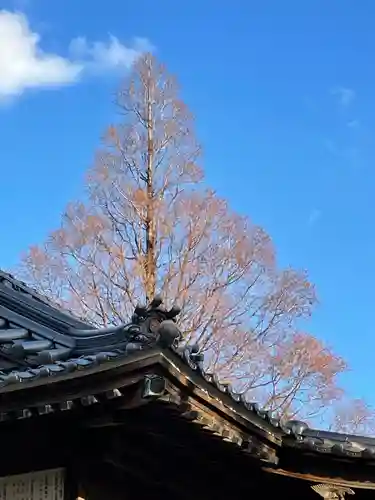 田の首八幡宮(山口県)