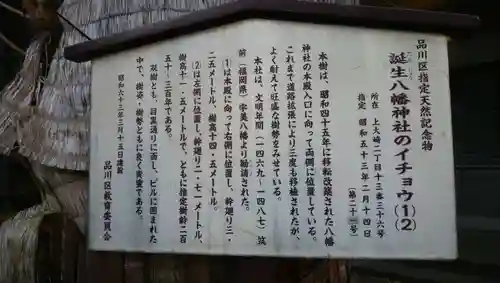 誕生八幡神社の歴史