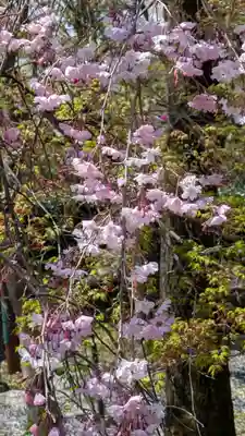 松ヶ崎大黒天 妙圓寺（妙円寺）(京都府)