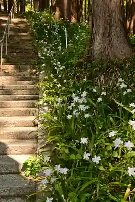 高蔵寺(福島県)