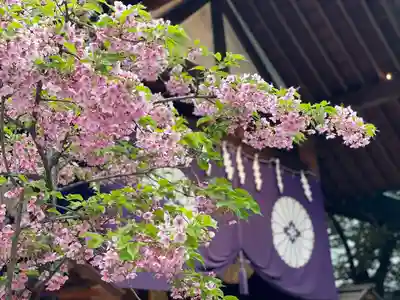 東京大神宮(東京都)