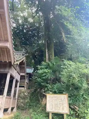 高野川神社(愛媛県)