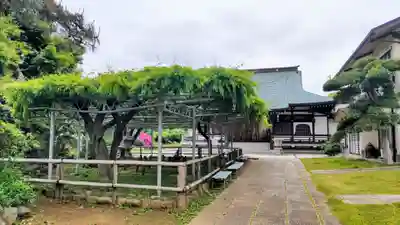 高圓寺(千葉県)