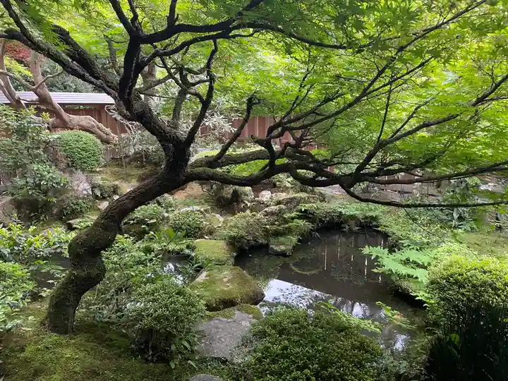 宝泉院の庭園