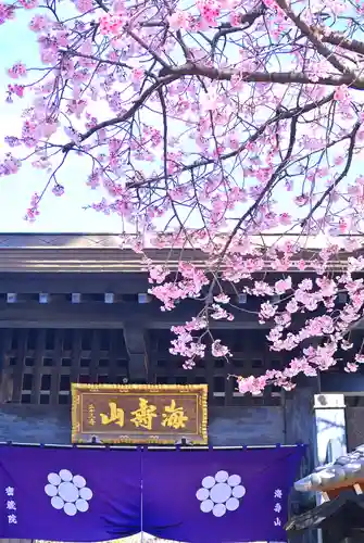 密藏院(埼玉県)