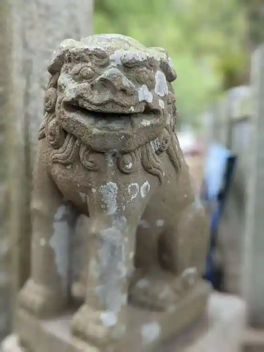 豊玉姫神社の狛犬