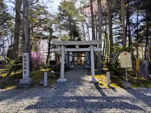 上川神社の鳥居