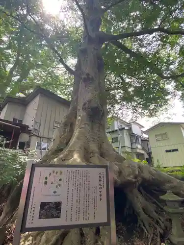 八坂神社(岩手県)