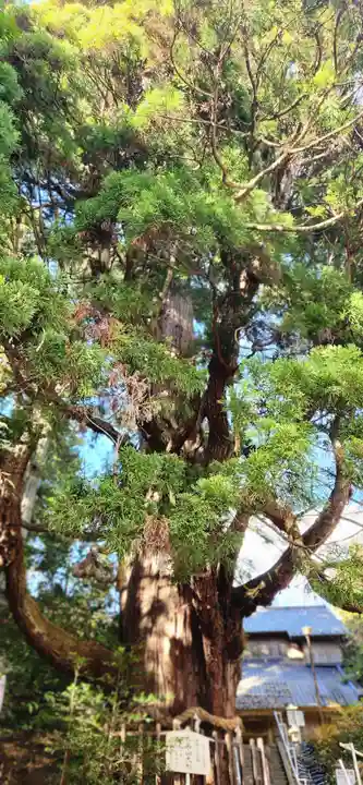大悲山の石仏(福島県)