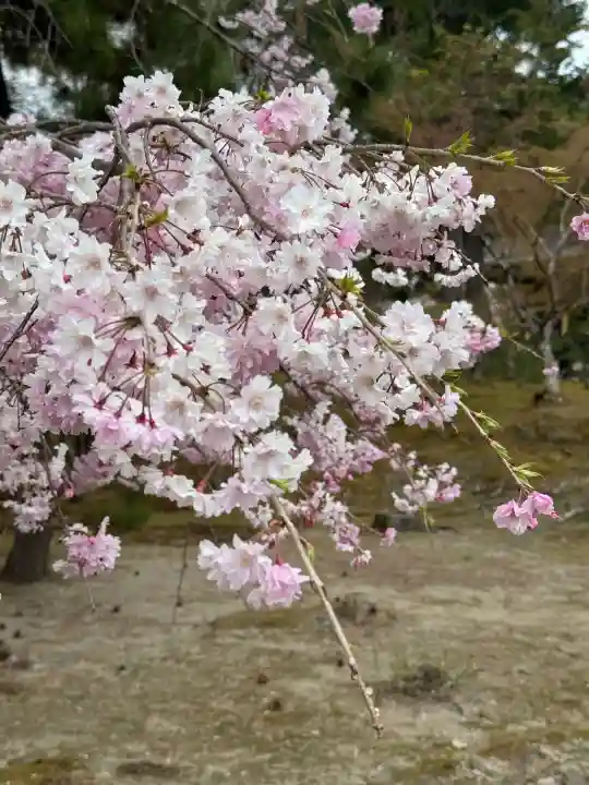 南禅寺(京都府)
