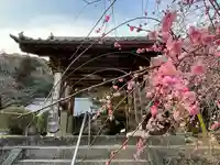 長徳寺の山門・神門