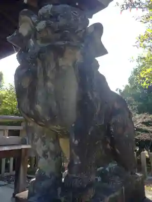 京都乃木神社の狛犬