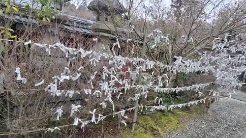 鍬山神社(京都府)