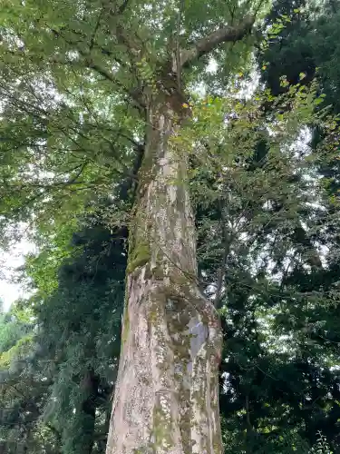 白山比咩神社(石川県)