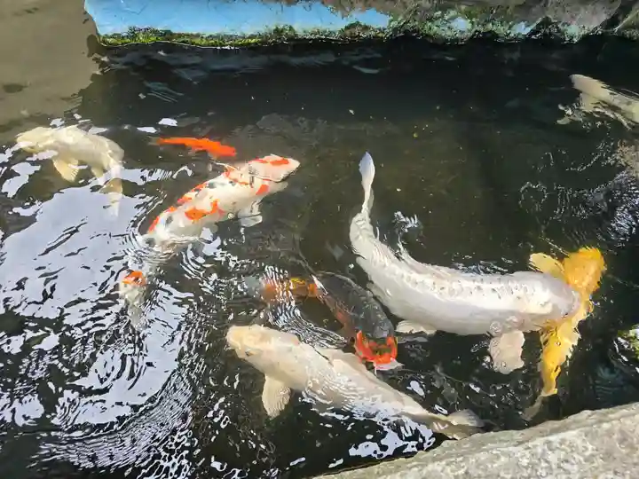 福生寺(和歌山県)