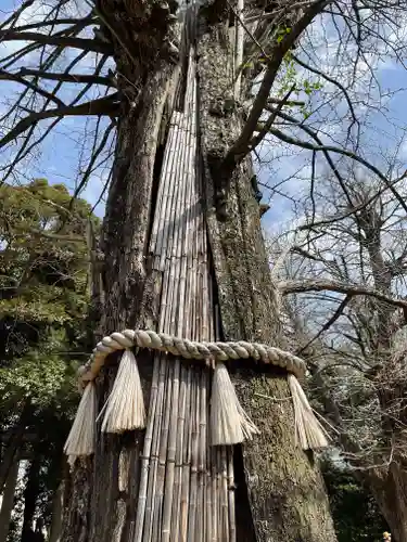 赤坂氷川神社のその他建物