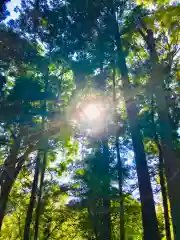 楯縫神社の自然