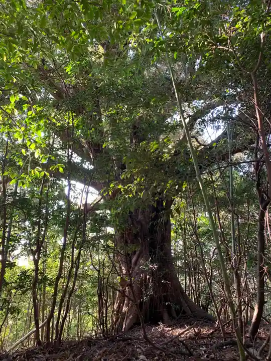 愛宕神社の自然