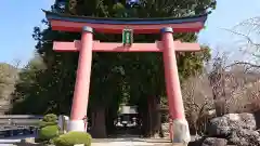 河口浅間神社の鳥居