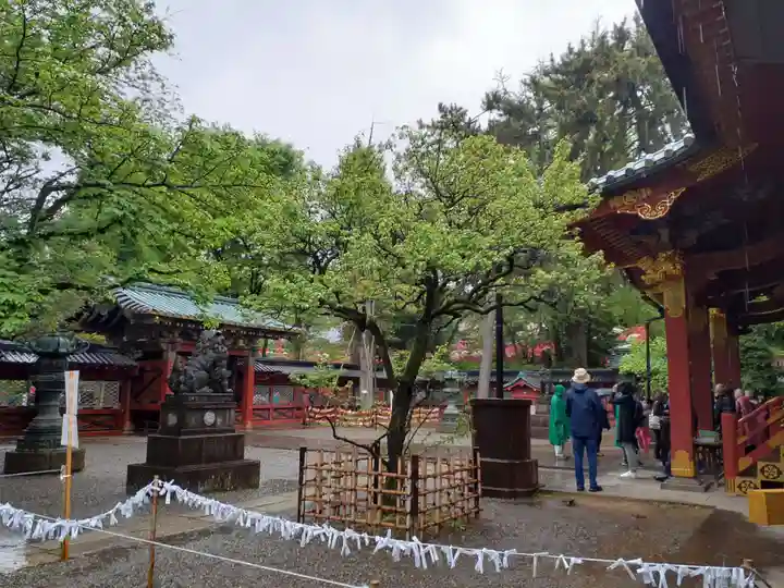 根津神社の本殿・本堂