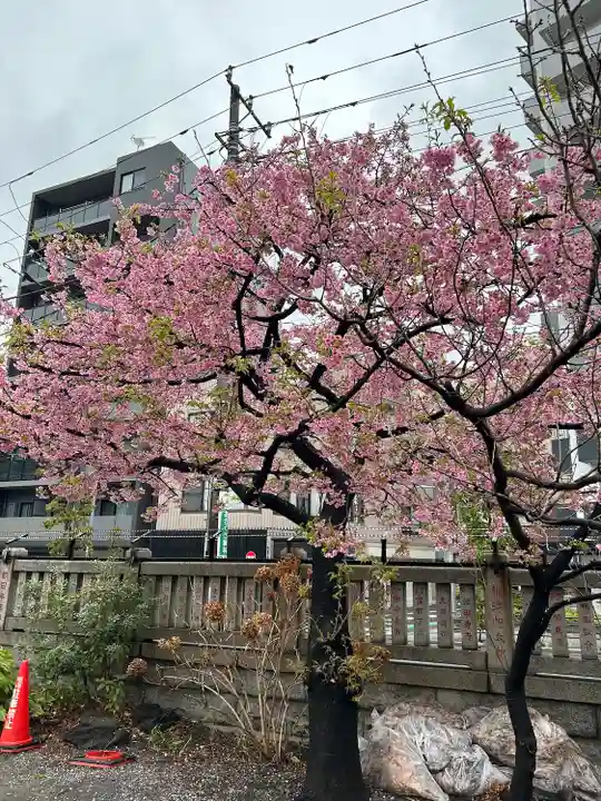 今戸神社(東京都)