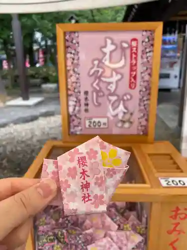 櫻木神社のおみくじ