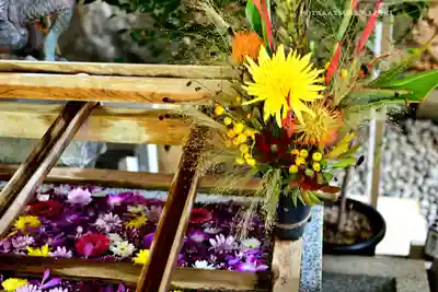 東京大神宮(東京都)