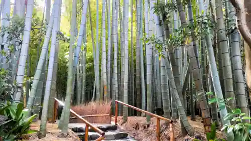 報国寺(神奈川県)