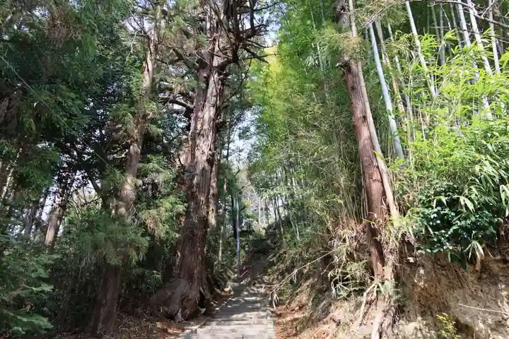 日枝神社の景色