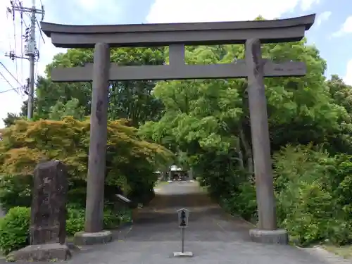 水若酢神社の鳥居