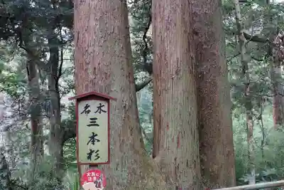 笠森寺のその他建物